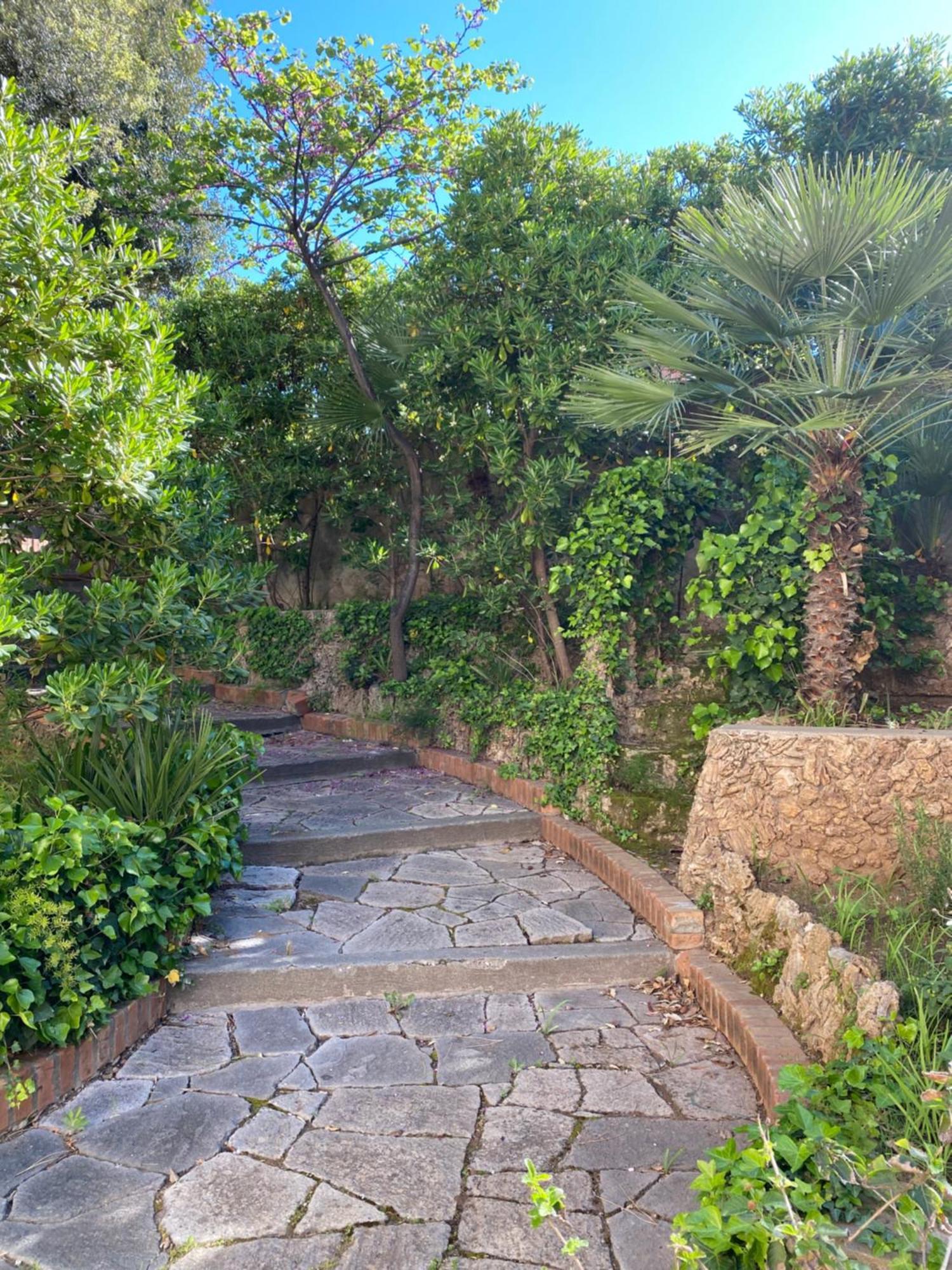 Villa Il Boschetto San Vincenzo Dış mekan fotoğraf
