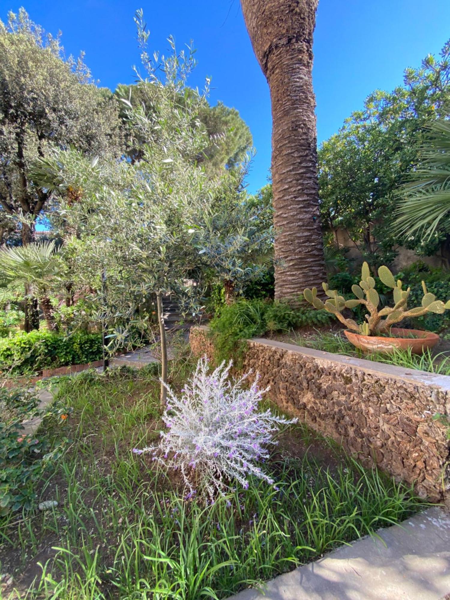 Villa Il Boschetto San Vincenzo Dış mekan fotoğraf